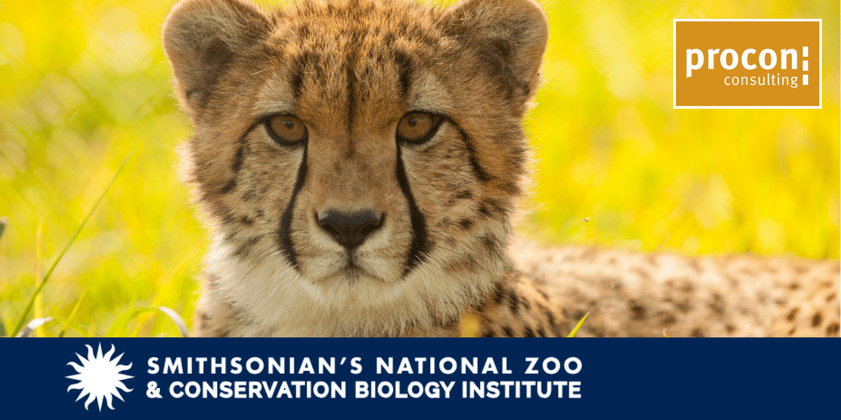 smithsonian zoo project announcement